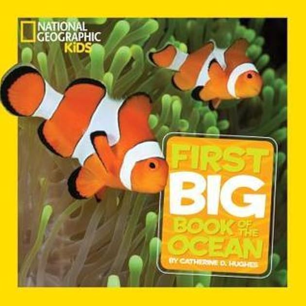 First Big Book of the Ocean