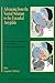 Advancing from the Ventral Striatum to the Extended Amygdala: Implications for Neuropsychiatry and Drug Abuse : In Honor of Lennart Heimer (Annals of the New York Academy of Sciences)