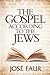 The Gospel According to The Jews by José Faur