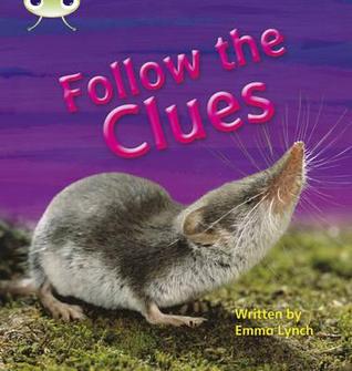 Phonics Bug Follow the Clues Phase 5
