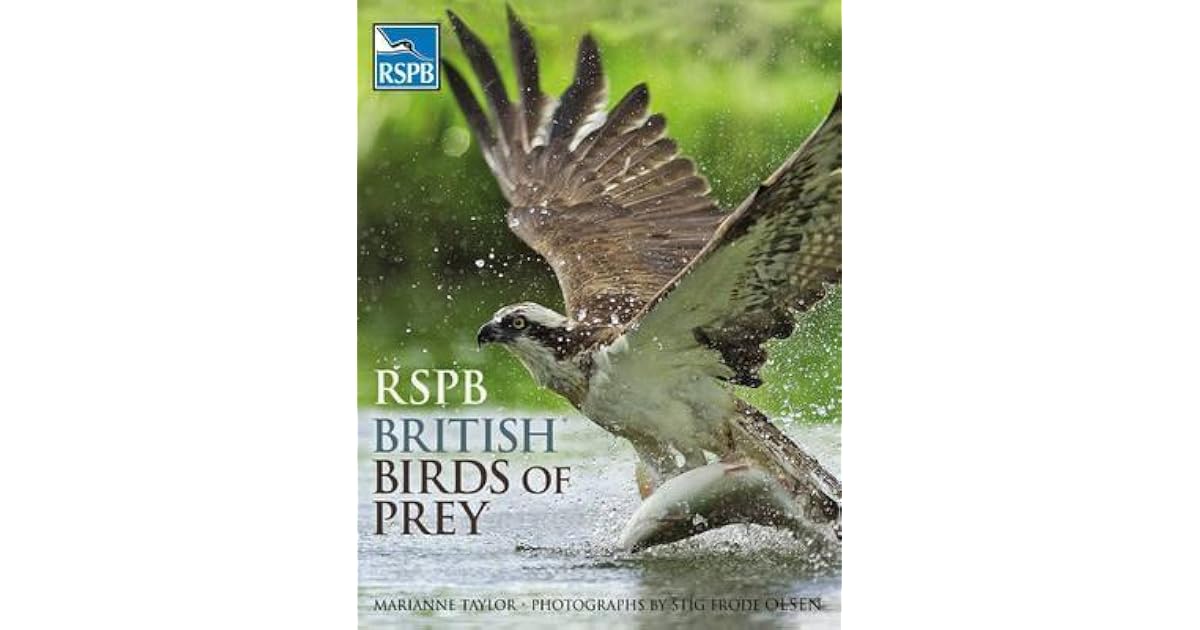 RSPB British Birds of Prey by Marianne Taylor