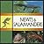 NEWTS & SALAMANDERS