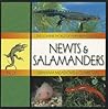 NEWTS & SALAMANDERS