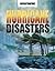 Hurricane Disasters by John Hawkins