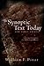The Synoptic Text Today and Other Essays by William F. Pinar