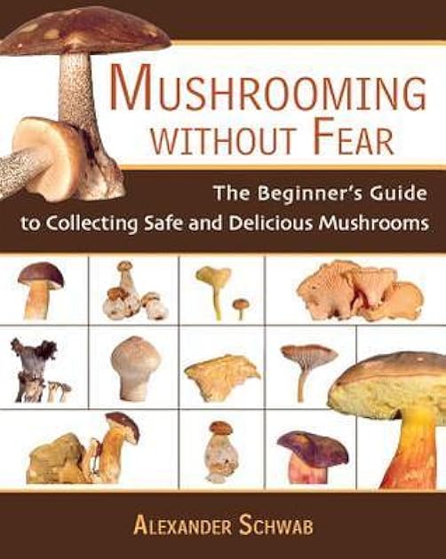 Mushrooming Without Fear: The Beginner's Guide to Collecting Safe and Delicious Mushrooms