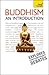 Buddhism: An Introduction (Teach Yourself)
