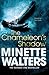 The Chameleon's Shadow by Minette Walters