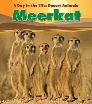 Meerkat (Paperback)