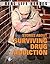 Stories about Surviving Drug Addition