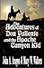 The Adventures of Don Valiente and the Apache Canyon Kid by Mary W. Walters