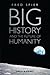 Big History and the Future of Humanity