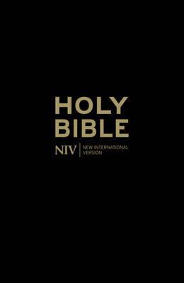 The Holy Bible: New International Version.