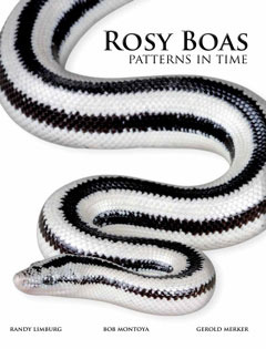 Rosy Boas: Patterns in Time