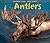 Antlers