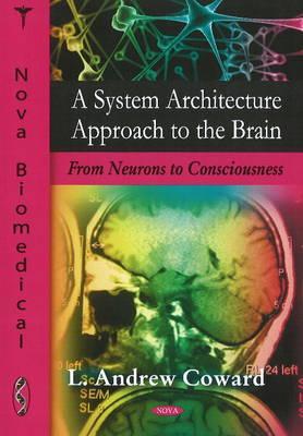 A System Architecture Approach to the Brain: From Neurons to Consciousness