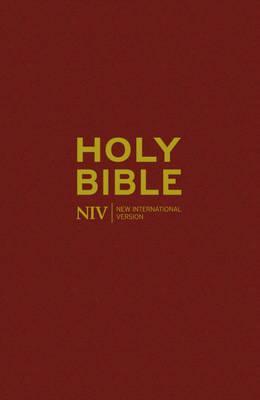 The Holy Bible: New International Version.
