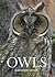 Owls