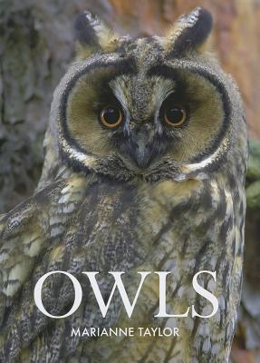 Owls