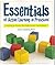 Essentials of Active Learni...