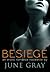 Besiege (DISARM,  #2)
