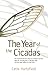 The Year Of The Cicadas by Catie Hartsfield