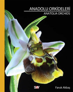 Anadolu Orkideleri - Anatolia Orchids
