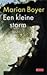 Een kleine storm