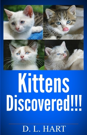 Kittens Discovered!!!