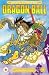 Dragon Ball, Vol. 13: L'invincibile Goku