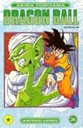 Dragon Ball, Vol. 24: Un misterioso guerriero