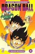 Dragon Ball, Vol. 40: Il ragazzo misterioso