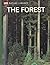 The Forest