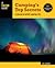 Camping's Top Secrets: A Lexicon of Expert Camping Tips