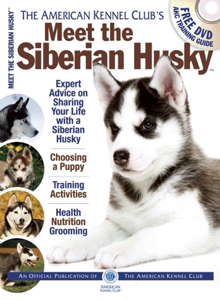 american siberian husky
