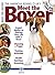 Meet the Boxer (American Kennel Club's Meet the Breed)