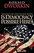 Is Democracy Possible Here?: Principles for a New Political Debate