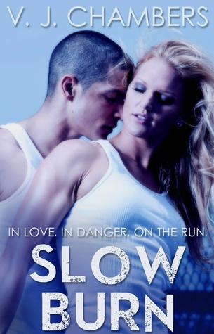 Slow Burn (Assassins, #1)