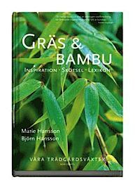 Gräs & bambu : inspiration, skötsel, lexikon (Hardcover)