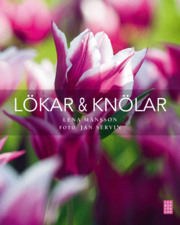 Lökar & knölar (Hardcover)