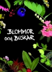 Blommor och buskar (Hardcover)