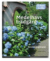 Medelhavsträdgård