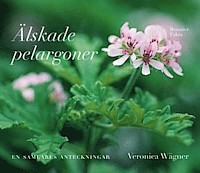 Älskade pelargoner (Hardcover)