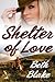 Shelter of Love