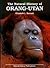 The Natural History of ORANG-UTAN