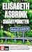 Smärtpunkten by Elisabeth Åsbrink