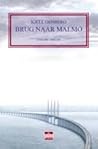 Brug naar Malmö: literaire thriller (Dutch Edition)