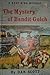 The Mystery of Bandit Gulch (Bret King #9)