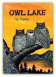 Owl Lake (Library Binding)