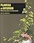 Plantas de Interior - Volumen 2 (Spanish Edition)